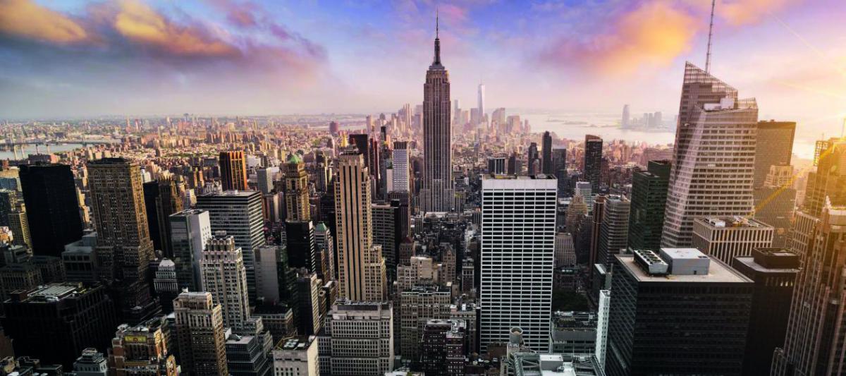 Travel: The Ocelot goes abroad to New York